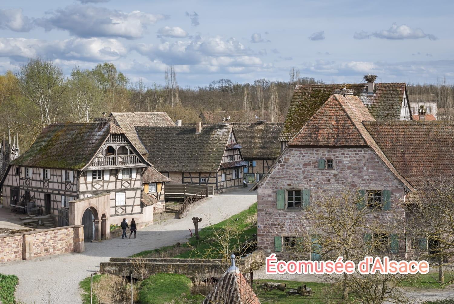 Entre Ville Et Vignes - Gite Classe 3 Etoiles Ingersheim Luaran gambar